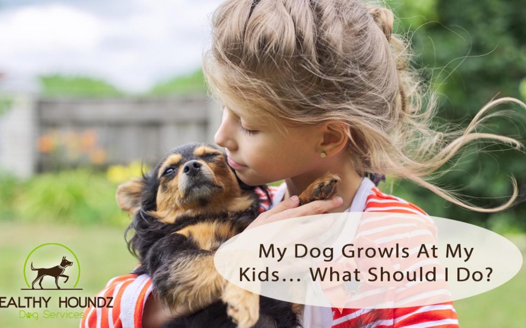 My Dog Growls At My Kids… What Should I Do?