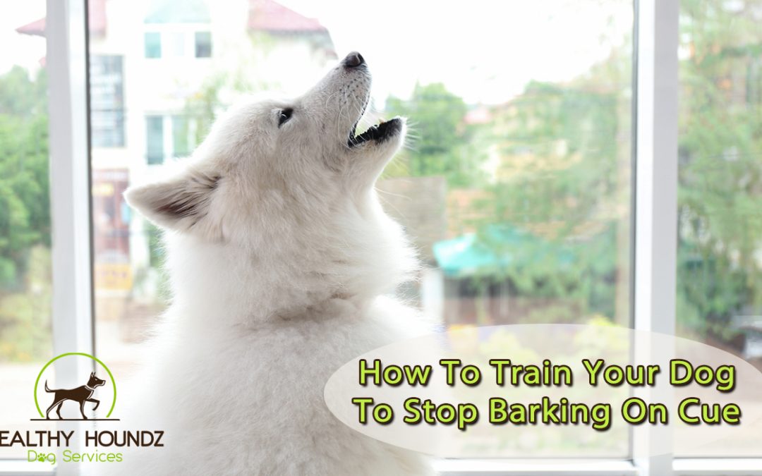 How To Teach Your Dog To Stop Barking Or “Quiet”