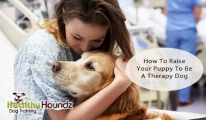 Raise Puppy To Be A Therapy Dog