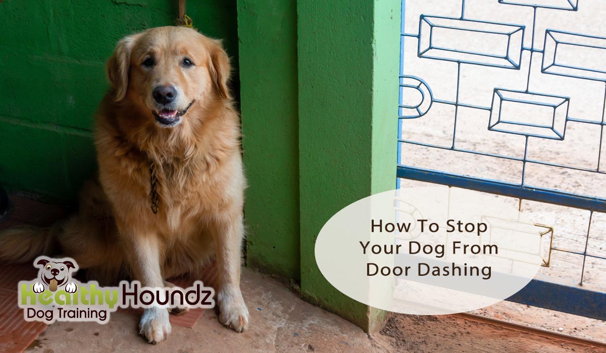 Dog Runs Out Front Door - Training Tips To Prevent Door Dashing