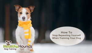 How To Stop Repeating Yourself When Training Your Dog
